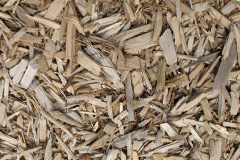 biomass boilers Honeydon